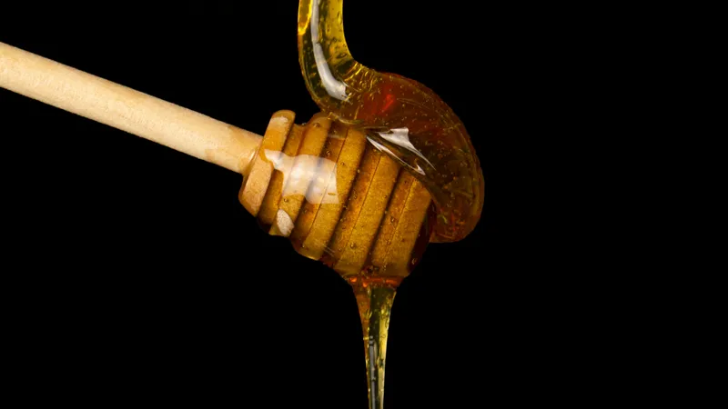 Why Go wild Bali Honey Is More Than Just Sweetness